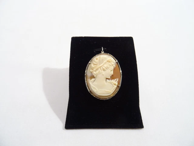 Pendentif Médaillon Ancien Photo - Chardon Doré - Style France Antique - Occasion Bon état