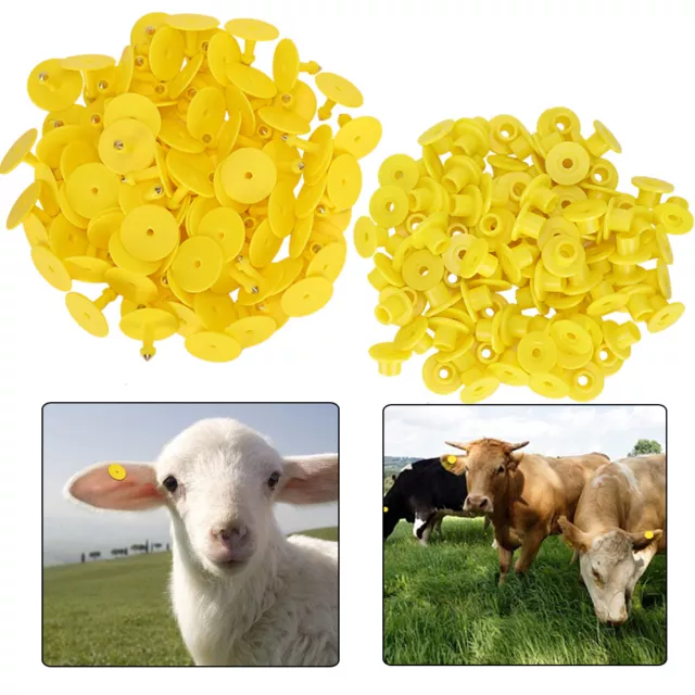 100pcs Animal Blank Ear Tags for Pigs Plastic Livestock Goats Calves Ear Tag
