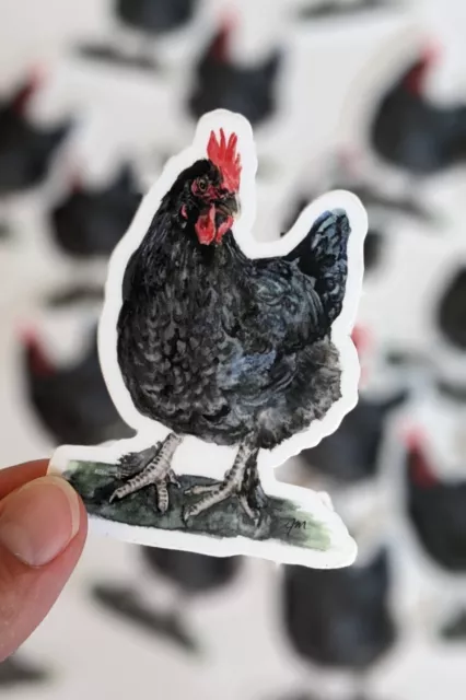 Chicken Sticker Pack of 20 - Black Hen Design