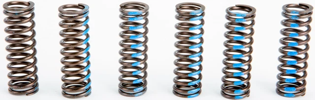 Pro Circuit Clutch Springs CSY10450-CS