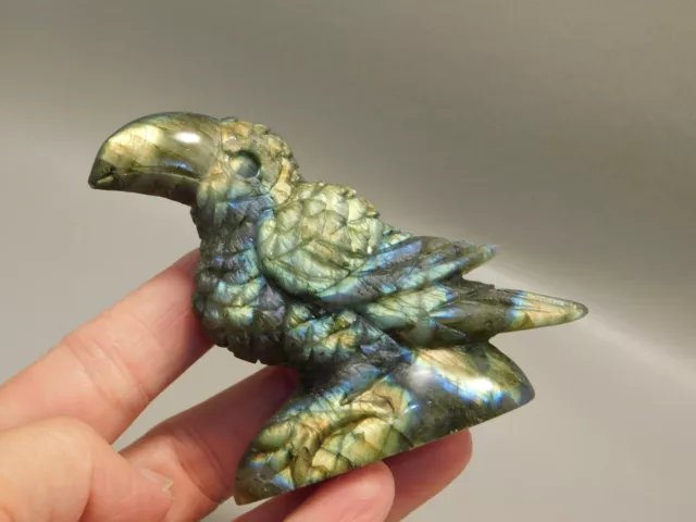 Toucan Bird Figurine Labradorite Rock Carving Stone #O2