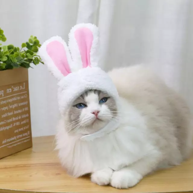 FE# Funny Pet Dog Cat Cap Costume Rabbit Party Christmas Cosplay Props (White)