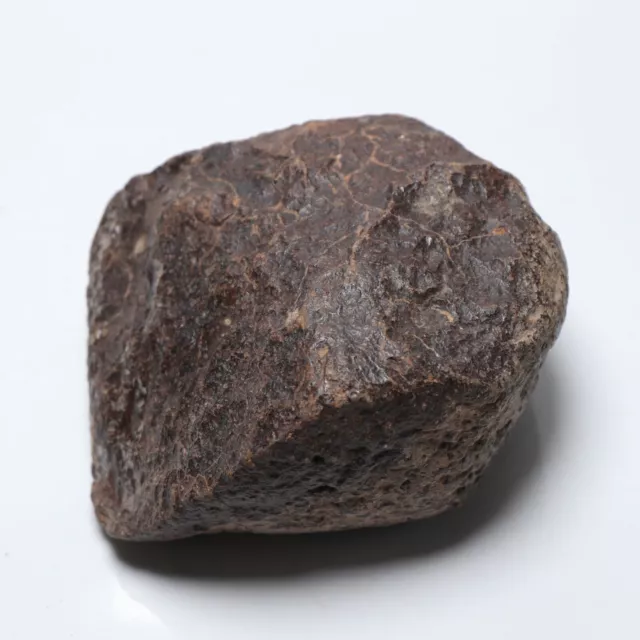 https://www.picclickimg.com/x9sAAOSwHRVhnF9f/835g-NWA-natural-Unclassified-meteorite-section-slice-C3116.webp