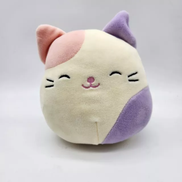 https://www.picclickimg.com/x9sAAOSwsiNj-DhA/Squishmallows-Carlota-Calico-Cat-Plush-Cream-Pink-Purple.webp