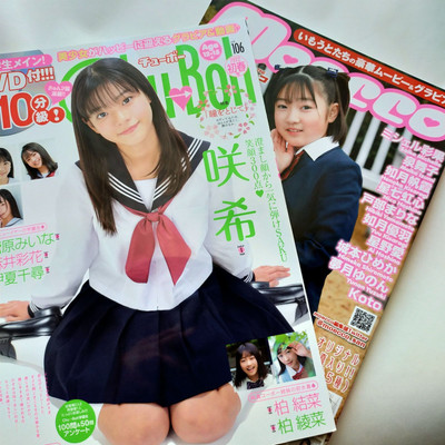 ハイレートDVD麻雀第9弾「BIKINI娘 ビキニッコ」 ROM 動作確認済 超 
