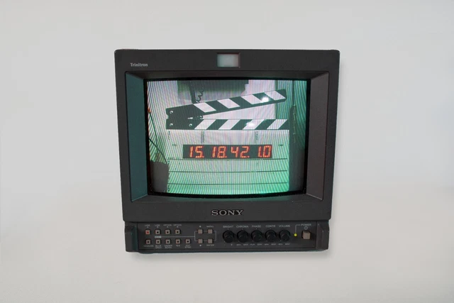 Sony PVM-9L2 Trinitron Color Production and Field Monitor  - Works Great!