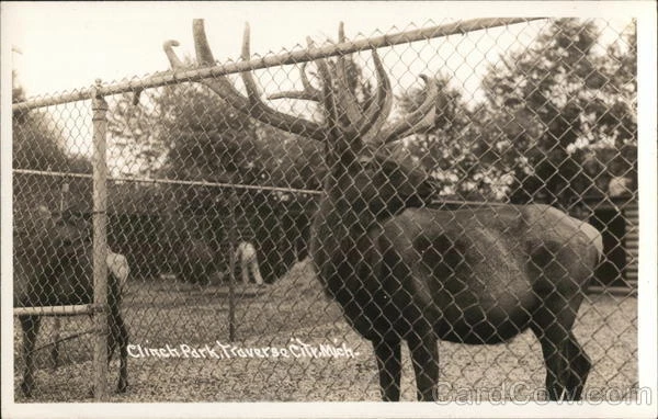 RPPC Traverse City,MI Clinch Park Grand Traverse,Leelanau County Michigan EKC