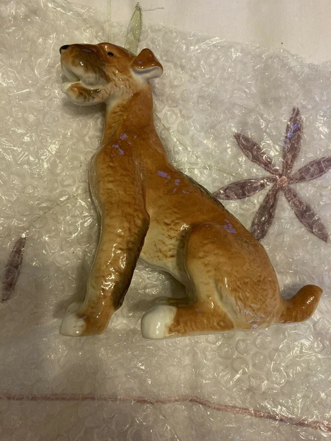 Airedale Terrier Dog Lomonosov Ussr