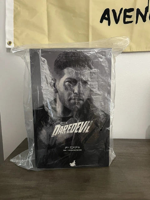 Hot Toys TMS 004 Marvel's Daredevil Punisher Figure, 12 Inch
