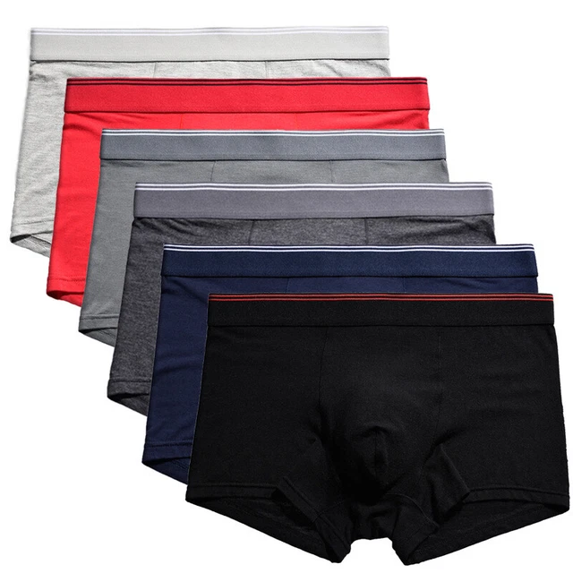 Boyshorts Pizzo VISION - Confezione Da 6 O 12 - Vita Media S-3XL - Multicolore