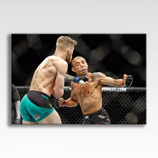 Conor McGregor v Aldo KO UFC 194 Canvas Poster Photo Print Wall Art 30" x 20"