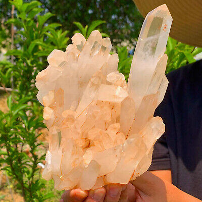 2.65LB A+++Large Natural white Crystal Himalayan quartz cluster /mineralsls