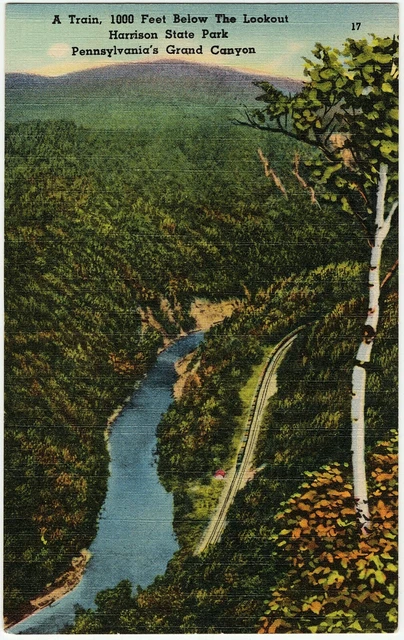 Harrison State Park PA 1952 Lookout A Train Pennsylvania's Grand Canyon Postcard