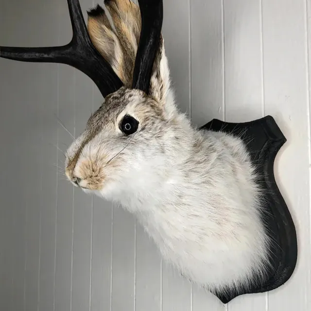 Statue Wall Mount Rabbit Head Hang Sculpture Animal Home New 2024 Gifts Decor