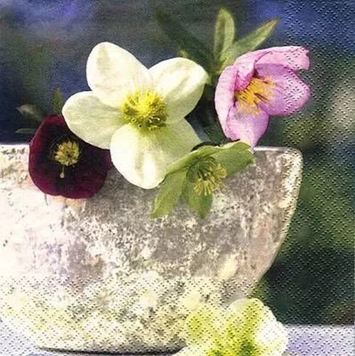 Christrosenschale / Servietten 33 X 33 / 3 Stück (Lose)  / Serviettentechnik