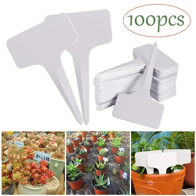 LABEL SORTING SIGN Kits Pratical 100PCS Sorting Sign 100PCS/Set 6x10cm ...