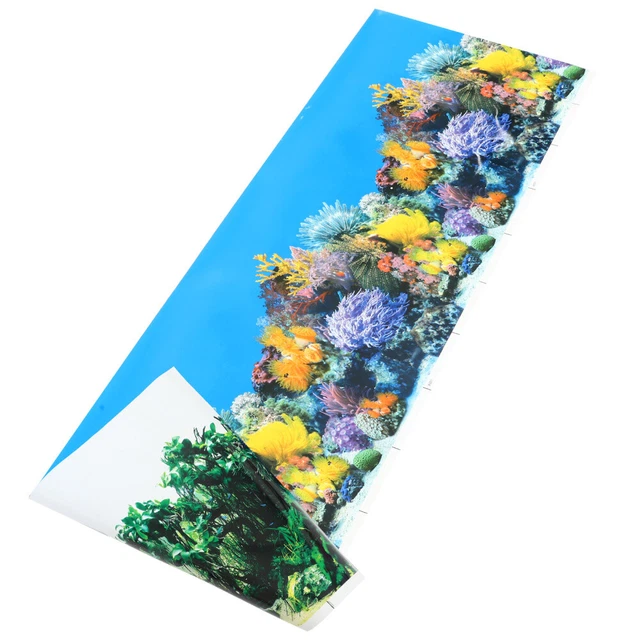 Fish Tank Wallpaper Fish Tank Background Paper Fondos De Pantalla 3d Coral