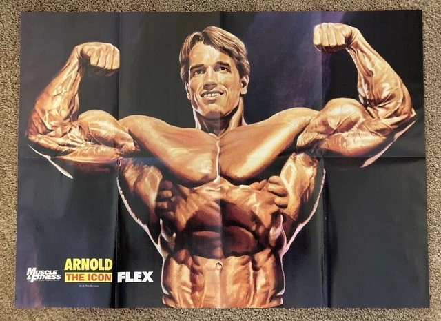 ARNOLD SCHWARZENEGGER THE Icon Bodybuilding Muscle Fitness Poster £20.