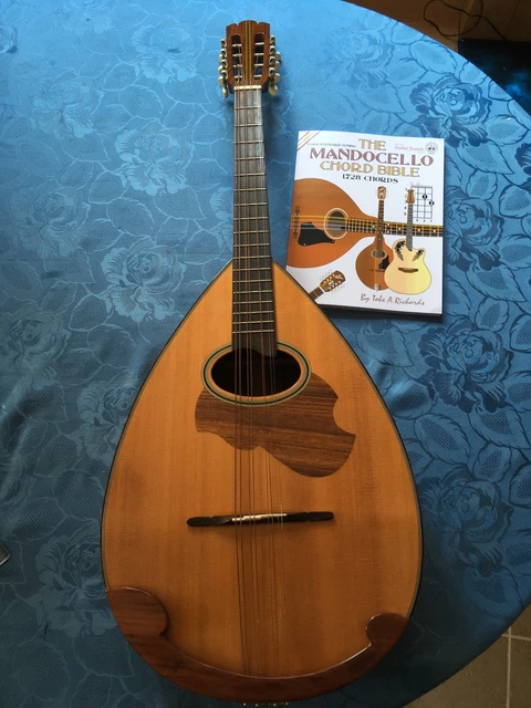 SUZUKI MANDOCELLO スズキ マンドチェロ MC-836 Suzuki MC-836 Mandocello / Mandoloncello | Reverb