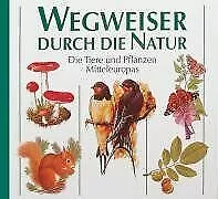 Wegweiser durch die Natur: Die Tiere und Pflanzen Mittel... | Buch | Zustand gut
