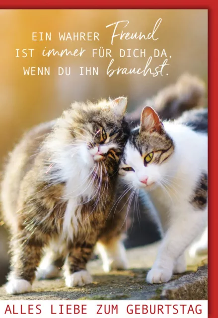 Karte Geburtstag Katzen Spruch Ein wahrer Freund - mit Umschlag