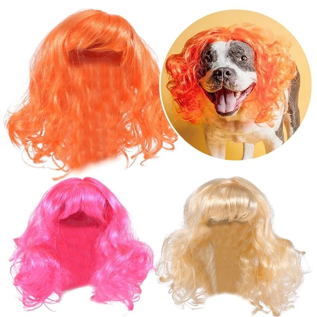 gatti Costume per animali domestici Parrucca per animali Cappello per parrucca