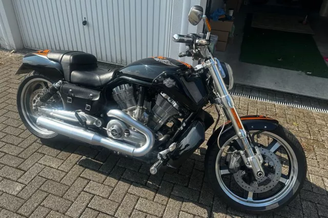 Harley-Davidson, V-Rod Muscle, Typ VR1