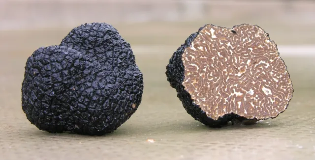 Precious black truffles fresh Mushrooms.From Italy (T.Aestivum)300g. 10,6oz