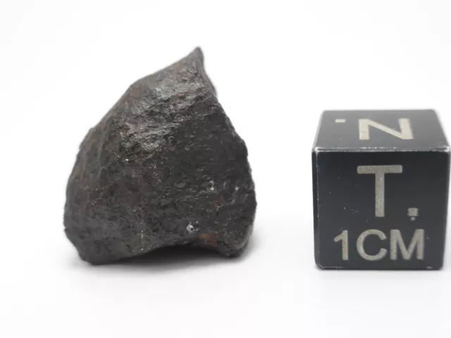 11 g Mundrabilla Iron Meteorite