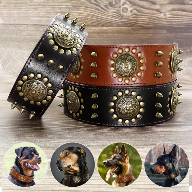 Spiked Studded Dog Collar Genuine Leather Heavy Duty Medium Large Pets Pitbull