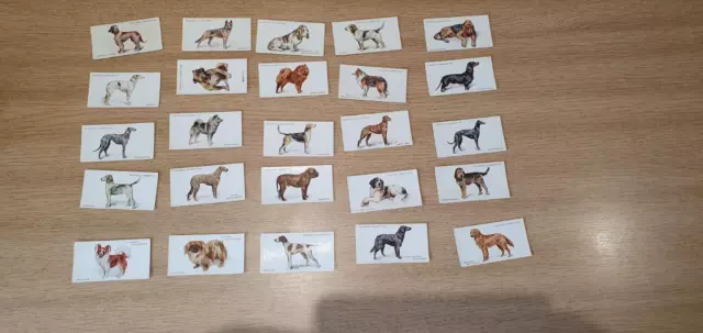 Players-Full Set- Dogs By Wardle 1931 (Full Length 50 Cards)