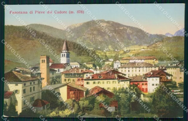 Belluno Pieve di Cadore Panorama cartolina VK4088