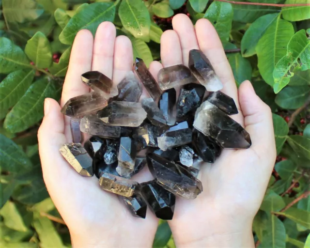 Smoky Quartz Crystal Points: 1000 Carat Lot (10-16 Pieces Smokey Quartz Points)