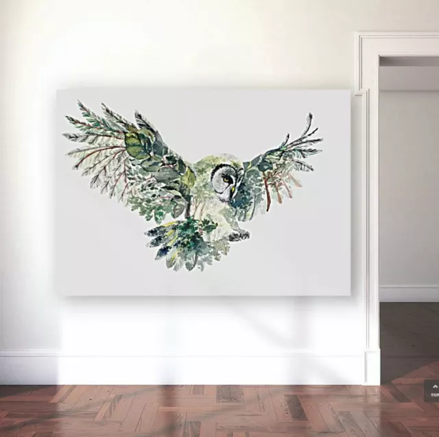 OWL ART beautiful & colorful animals high quality Canvas painting  Home decor