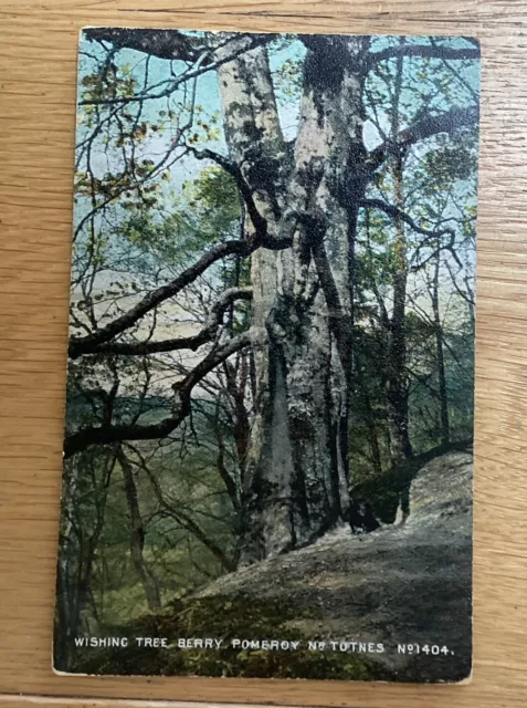 Old Postcard Of Wishing Tree Berry Pomeroy Nr Totnes