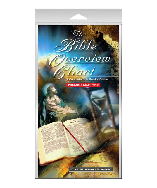 the-bible-overview-chart-15-95-picclick