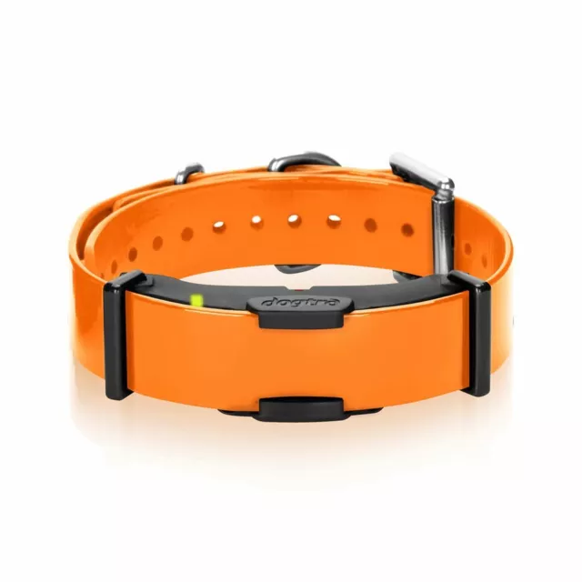 Dogtra Arc-RX Additional Dog Rechargeable Receiver Collar for ARC System- Orange