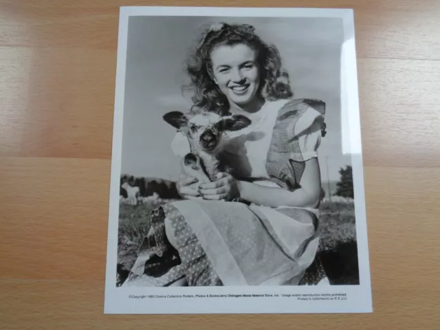 1945 Vintage Originale Marilyn Monroe Photo 25Cmx20Cm Photograph Andre De Dienes