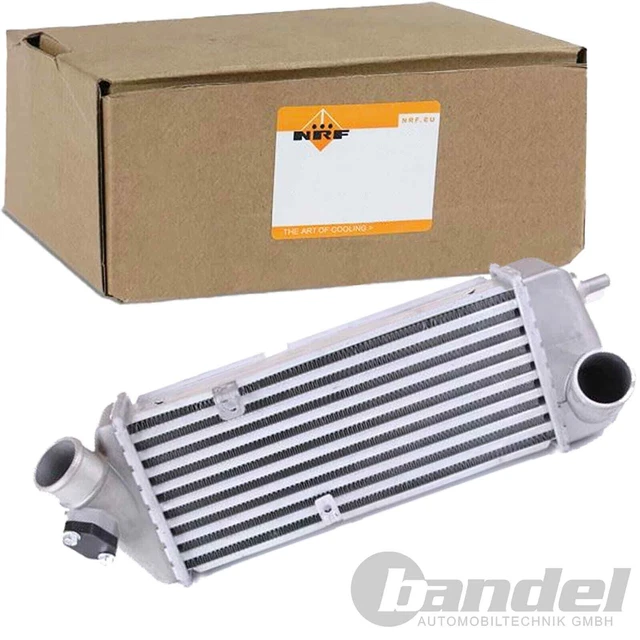 Frankberg Filtro Aria Auto: Compatibile Con Hyundai Rio II E Accent III 1.5 CRDi (28113-1G100)