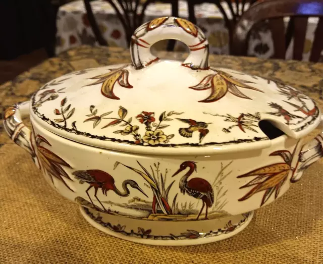 INDUS N 1877 RIDGEWAY Lustre Transferware 7” Aesthetic Bird TUREEN & Lid