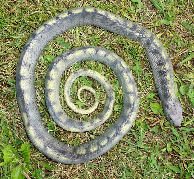 5' REALISTIC TIGER Snake Replica - Rubber - AAA $41.15 - PicClick CA