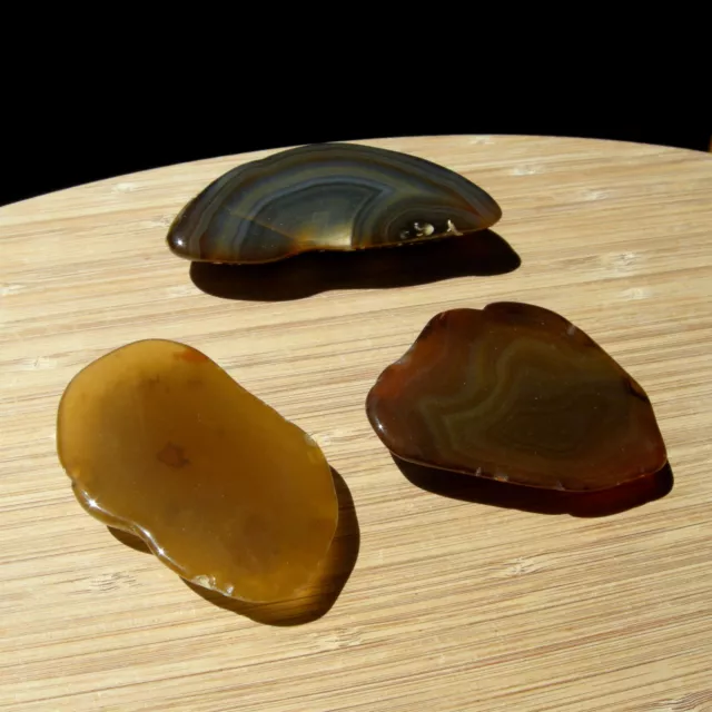3 Geode Ends Mixed Polished Rock Slices Brown Banded Agate Crystal Display Stone