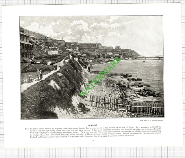 Dartmouth / Ventnor Isle Of Wight   - c.1900 Book Print