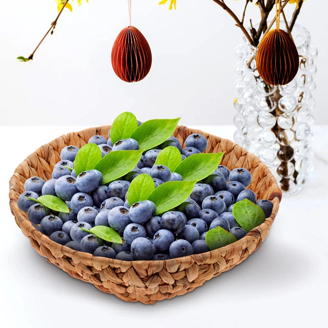 Plateau De Fruits En Forme De Paon – Décoration Maison En Alliage Zinc | Corbeille à Fruits Créative Pour Mariage, Anniversaire - 3