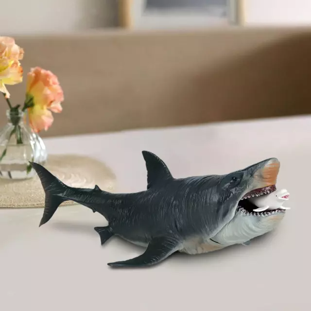 Figurines d'action de requin Megalodon Modèle Animal pour jouet cognitif de