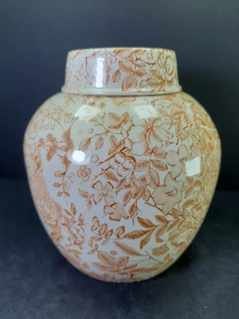 Royal Cauldon Bristol Ironstone Large Ginger Jar Bittersweet 6 1/2"