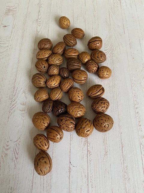 Hobbyauflösung Perlen