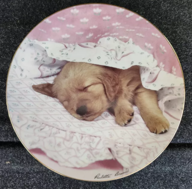 Hamilton Collection plate - Do Not Disturb - Golden Retriever puppy dog - Braun