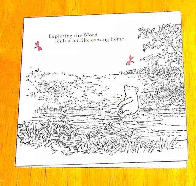 Winnie The Pooh ~ ""Exploring The Woods..." Charmante Notizkarte & Umschlag ~ Neu