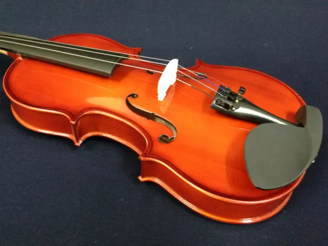 Brand New Caraya 1/2 Size Violin w/Spare String Set,Foam Hard Case,Bow,Rosin 3